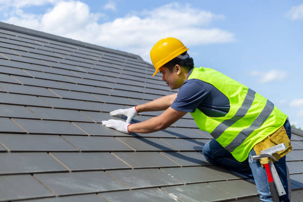 Best Roof Gutter Cleaning  in Mec, CA